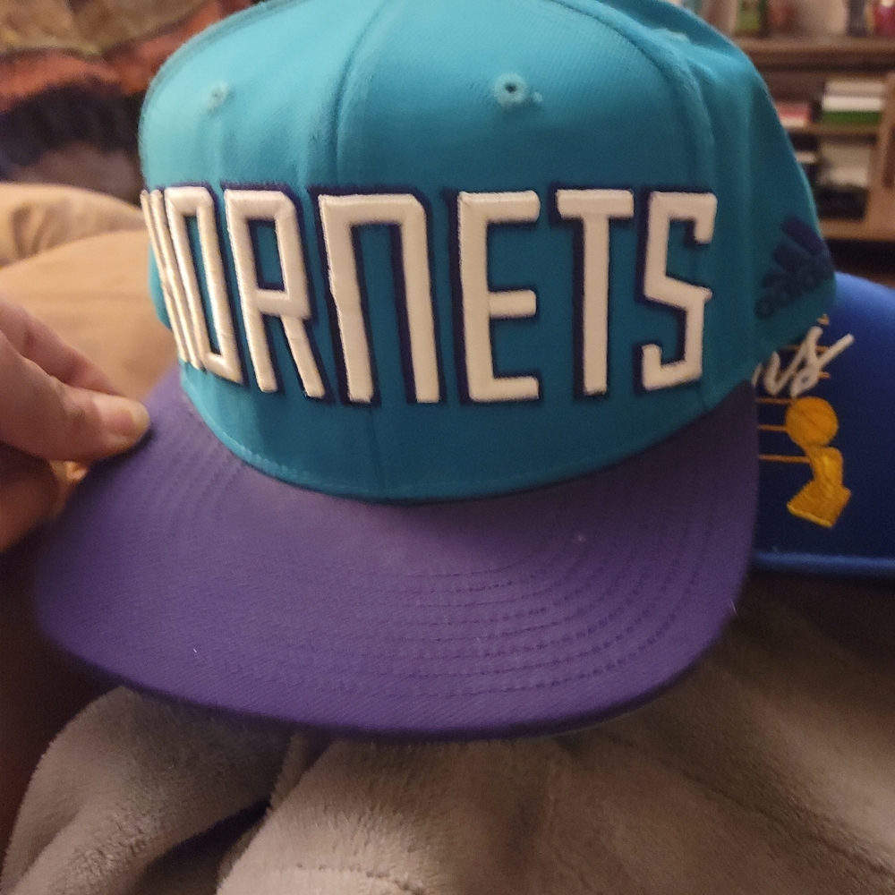 Hornets snap back